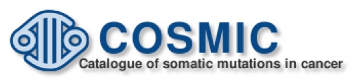 logo_cosmic
