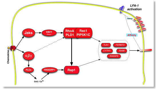 figs5-3.jpg