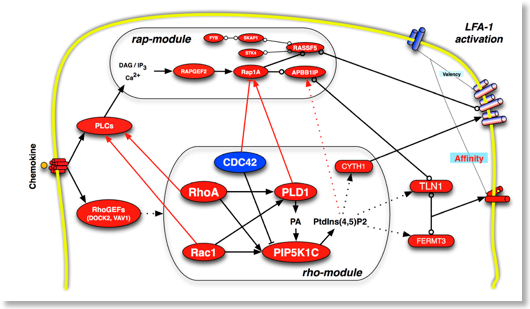 figure-2_rap-rho-modules.jpg