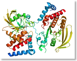 protein_ptprg_pdb_2h4v-2.jpg